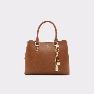 Bolso Tote Aldo Legoirii Marrom | 18MZLYDJH