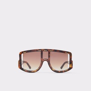 Lentes De Sol Aldo Javabriclya Shield Marrom | 06OATLUFX