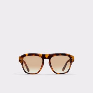 Lentes De Sol Aldo Milicien Marrom | 24VPYEXBJ