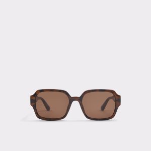 Lentes De Sol Aldo Quoll Marrom | 37EMZNRVC