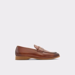 Loafers Aldo Byron Marrom | 19GUPAIVX