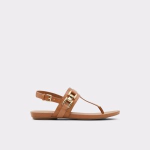 Sandalias Aldo Gannamaryn T-strap Sandal Marrom | 01TYVRMLQ