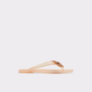 Sandalias Aldo Kahala Planos Sandal Beige | 83VQFLRUD