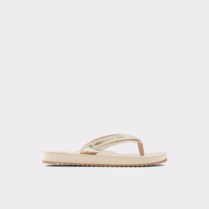 Sandalias Aldo Polo Flip Flops Multicolor | 02FGORELQ