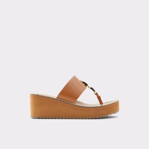 Sandalias Aldo Toea Tanga Sandal - Wedge Marrom | 76DUCAPWG