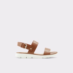 Sandalias Aldo Woema Planos Sandal Marrom | 53UWIPQHM