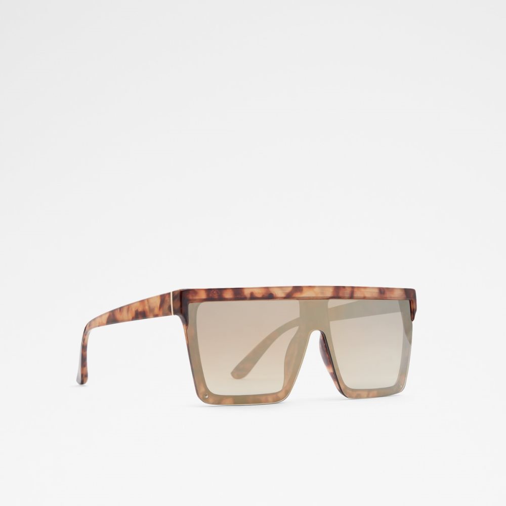 Lentes De Sol Aldo Brightside Shield Marrom | 32KSXHJRB