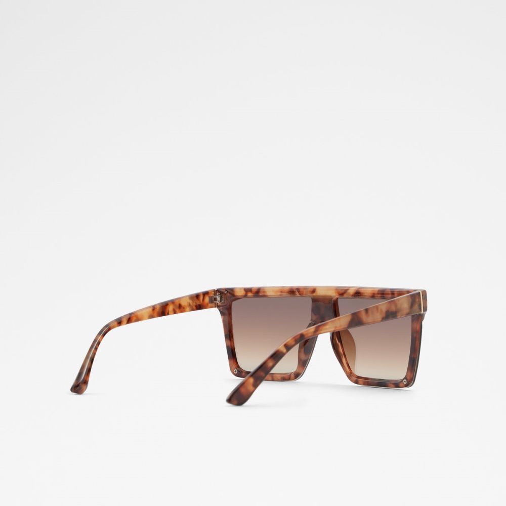 Lentes De Sol Aldo Brightside Shield Marrom | 32KSXHJRB