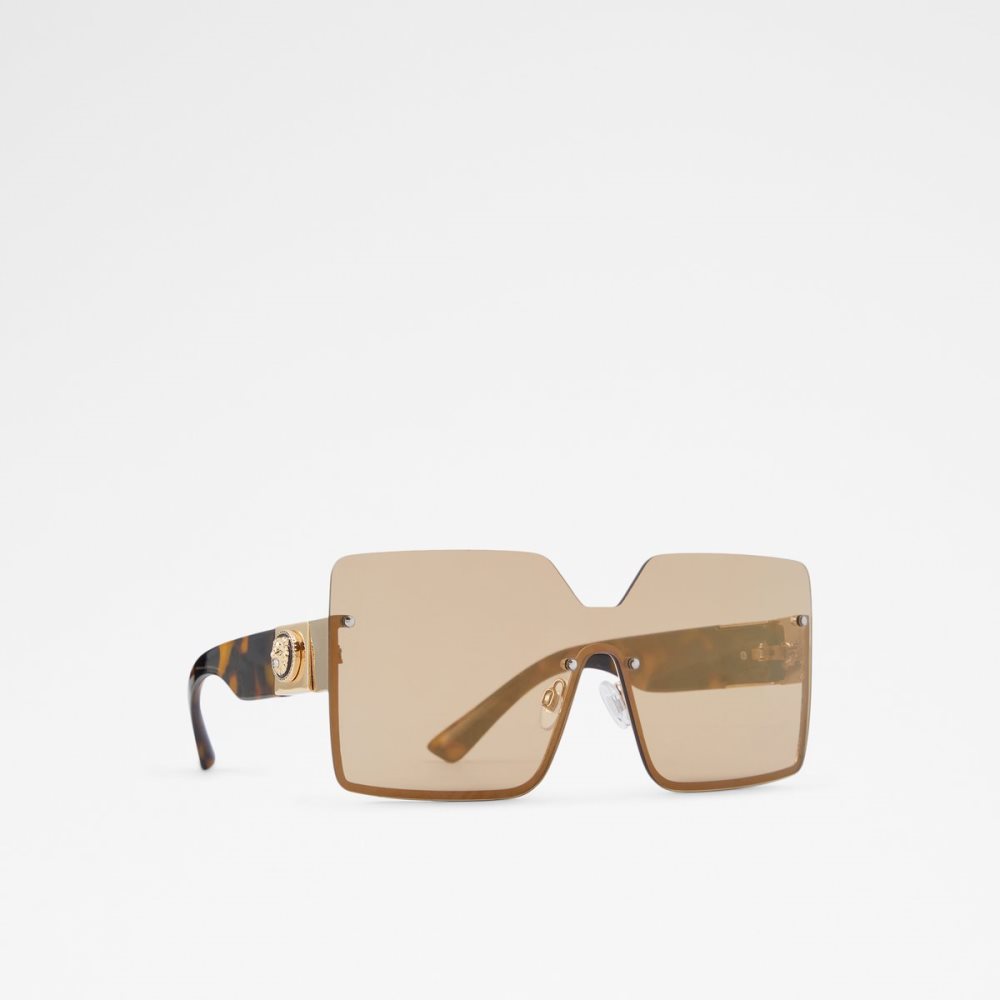 Lentes De Sol Aldo Devanandra Square Marrom | 57DLRGNAF