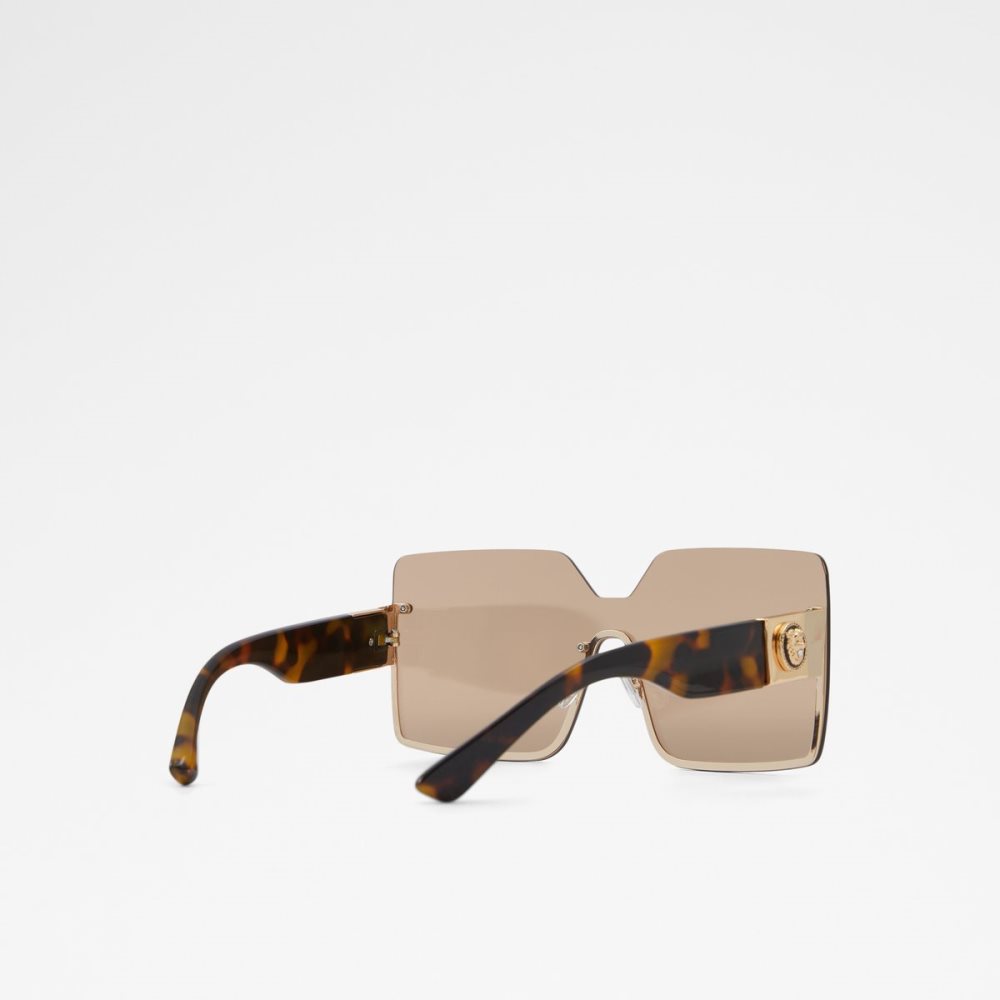 Lentes De Sol Aldo Devanandra Square Marrom | 57DLRGNAF