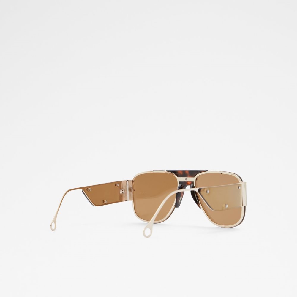 Lentes De Sol Aldo Qei Aviator Marrom | 15GTDRLUK