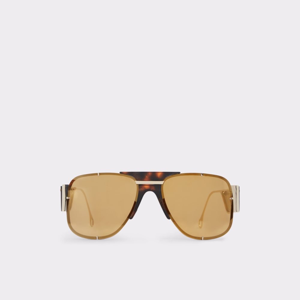 Lentes De Sol Aldo Qei Aviator Marrom | 15GTDRLUK