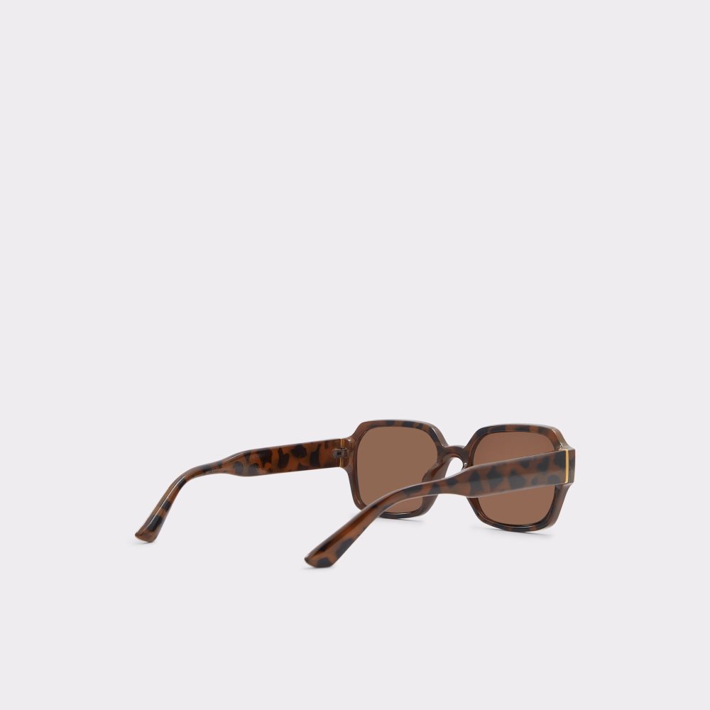 Lentes De Sol Aldo Quoll Marrom | 37EMZNRVC