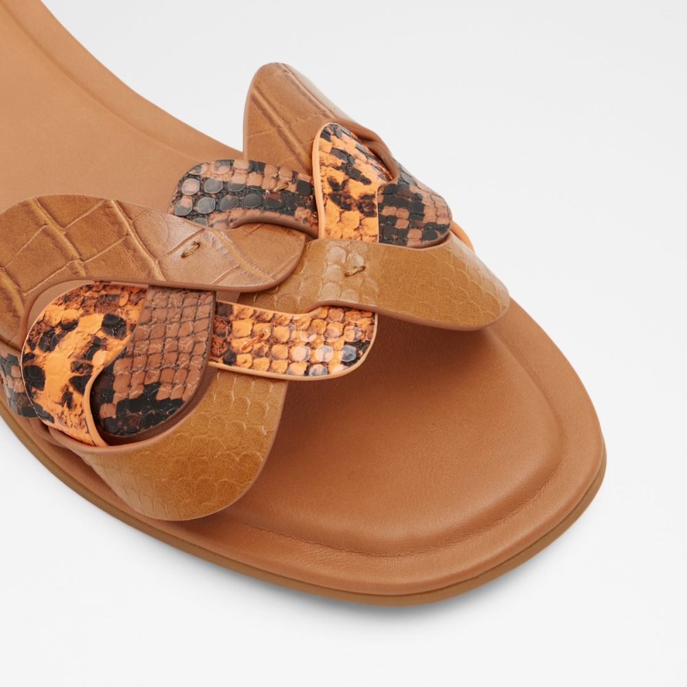 Sandalias Aldo Adwilaviel Chanclas Sandal Marrom Multicolor | 52YFCZMLB