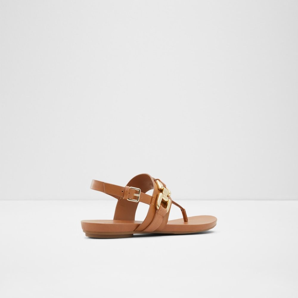 Sandalias Aldo Gannamaryn T-strap Sandal Marrom | 01TYVRMLQ