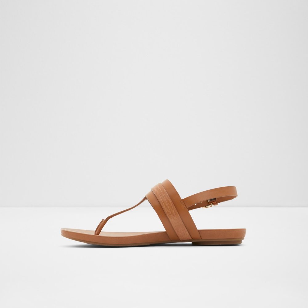 Sandalias Aldo Gannamaryn T-strap Sandal Marrom | 01TYVRMLQ