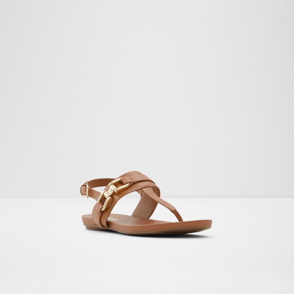 Sandalias Aldo Gannamaryn T-strap Sandal Marrom | 01TYVRMLQ