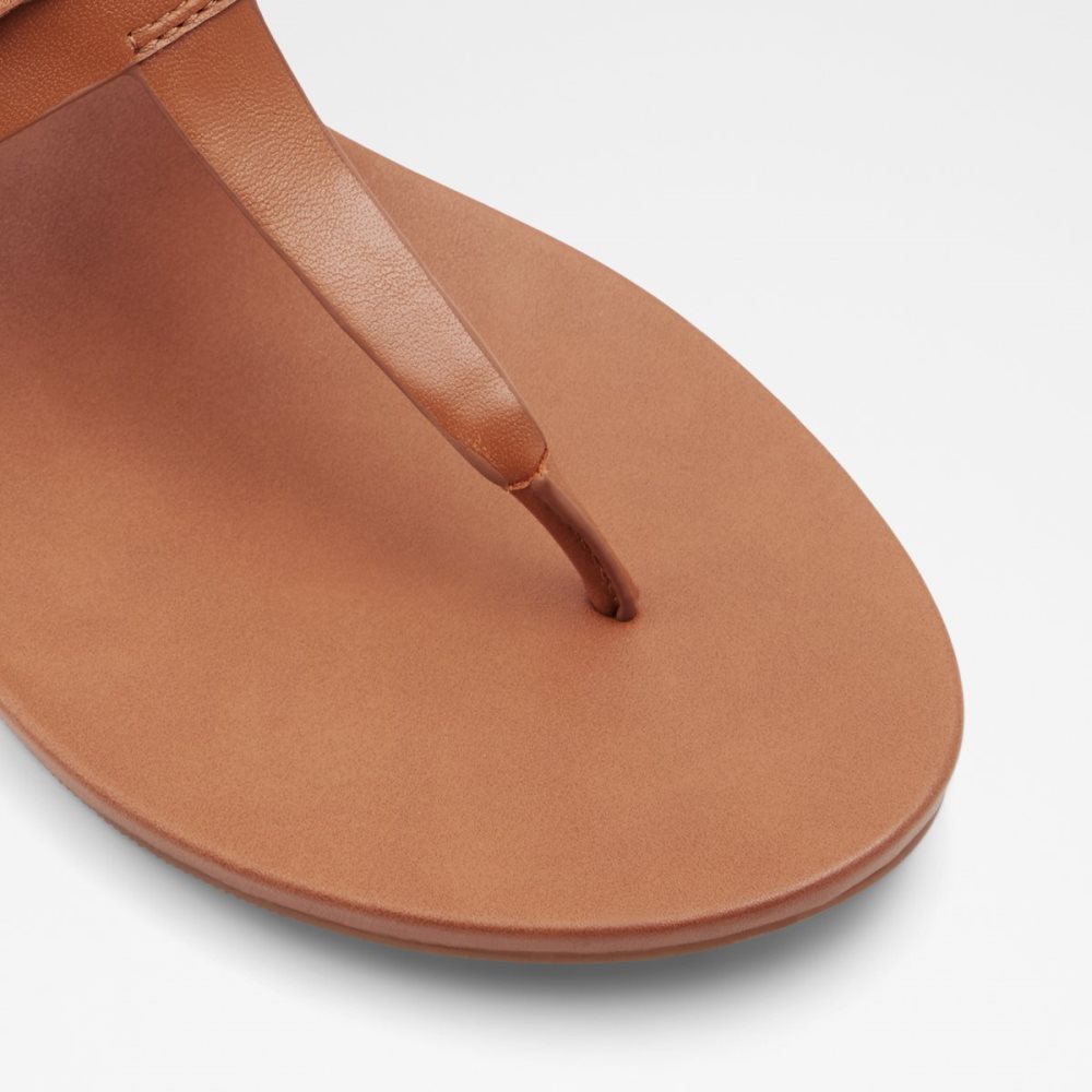 Sandalias Aldo Gannamaryn T-strap Sandal Marrom | 01TYVRMLQ