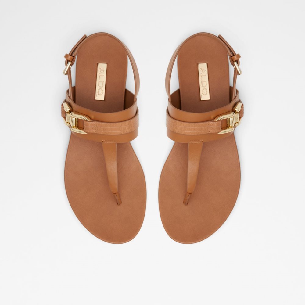 Sandalias Aldo Gannamaryn T-strap Sandal Marrom | 01TYVRMLQ