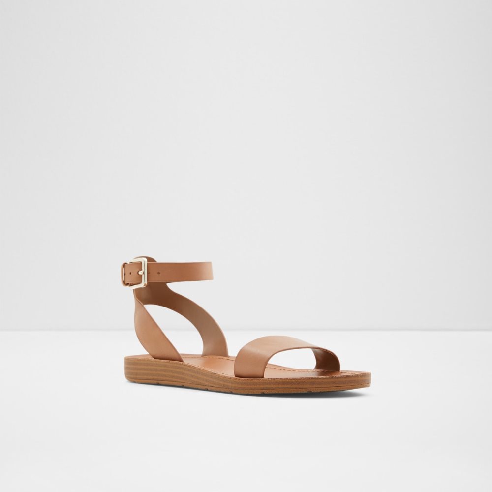 Sandalias Aldo Kedaredia Planos Sandal Marrom | 94YDFVHQR