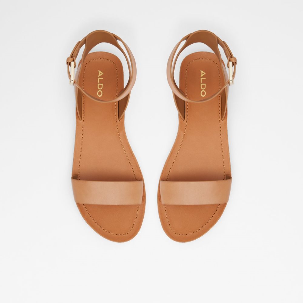 Sandalias Aldo Kedaredia Planos Sandal Marrom | 94YDFVHQR