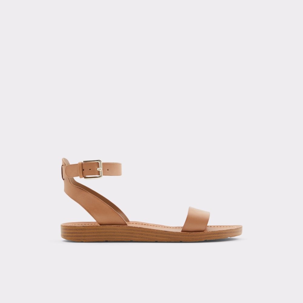 Sandalias Aldo Kedaredia Planos Sandal Marrom | 94YDFVHQR