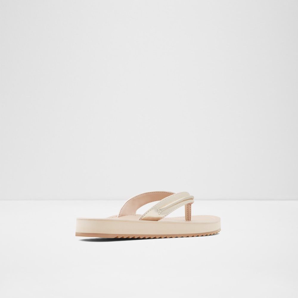 Sandalias Aldo Polo Flip Flops Multicolor | 02FGORELQ