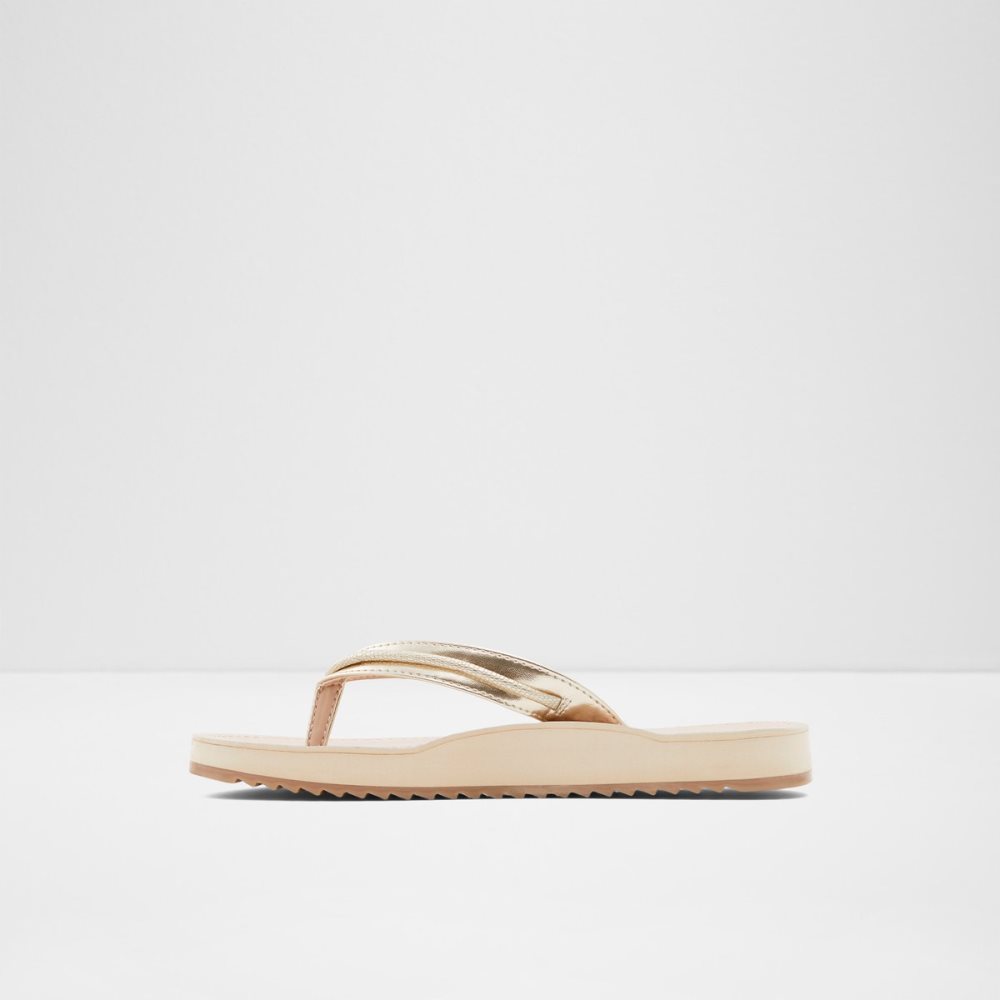 Sandalias Aldo Polo Flip Flops Multicolor | 02FGORELQ