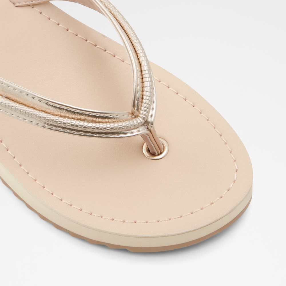 Sandalias Aldo Polo Flip Flops Multicolor | 02FGORELQ