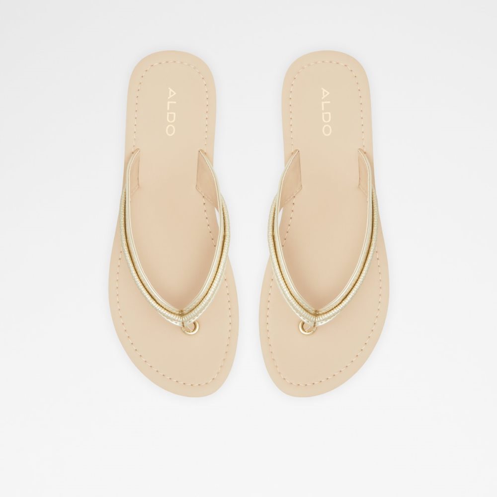 Sandalias Aldo Polo Flip Flops Multicolor | 02FGORELQ