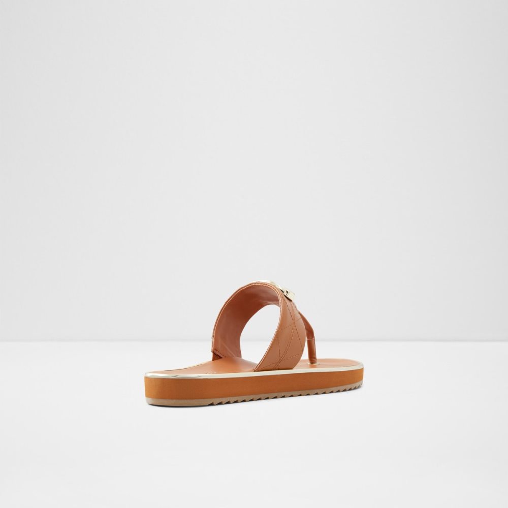 Sandalias Aldo Searene Flip Flop Marrom | 95UMGHKFO