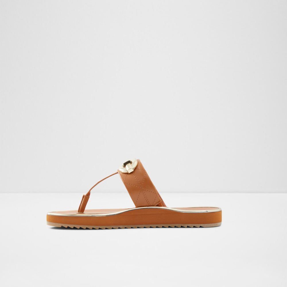 Sandalias Aldo Searene Flip Flop Marrom | 95UMGHKFO