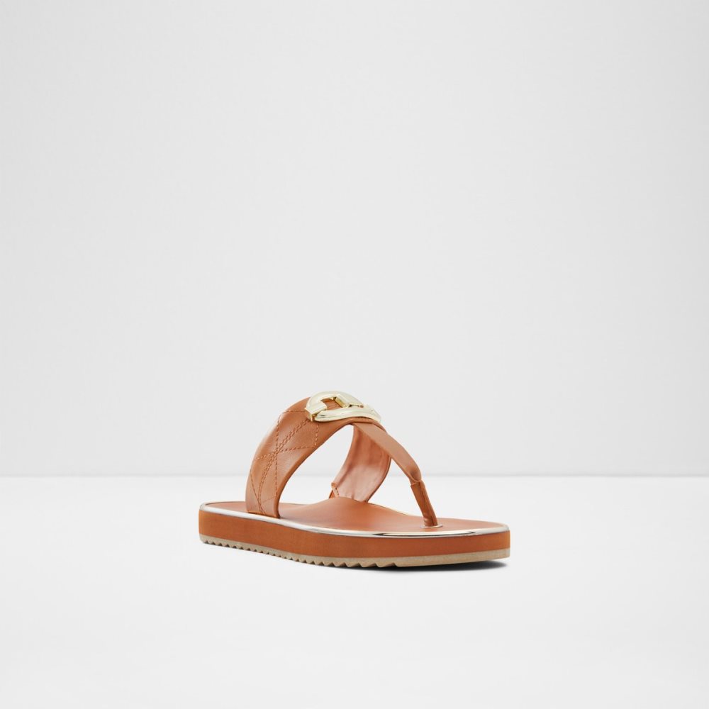 Sandalias Aldo Searene Flip Flop Marrom | 95UMGHKFO