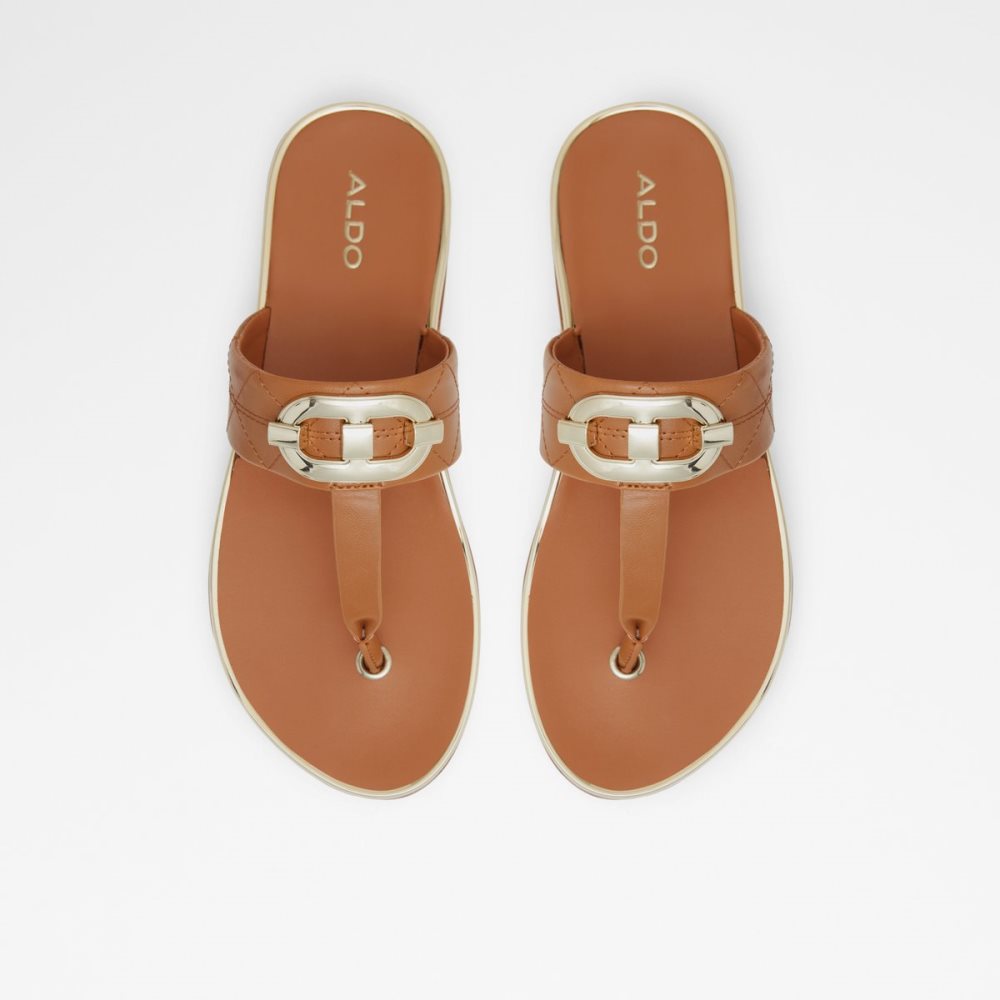 Sandalias Aldo Searene Flip Flop Marrom | 95UMGHKFO