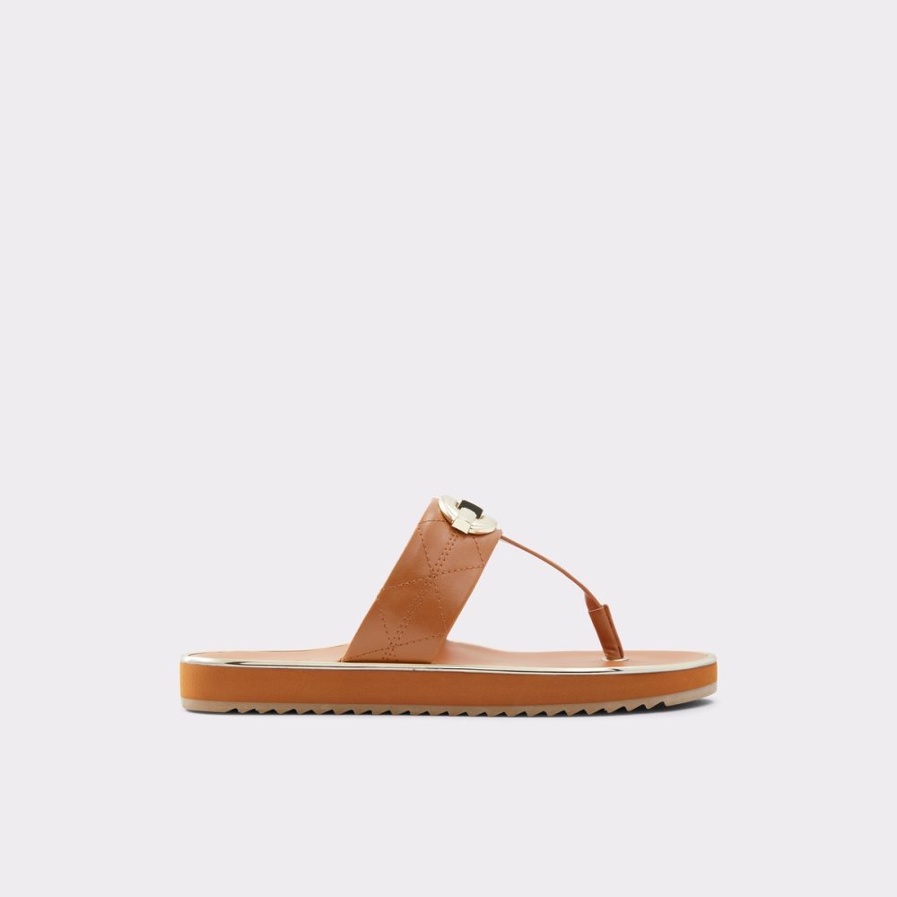 Sandalias Aldo Searene Flip Flop Marrom | 95UMGHKFO